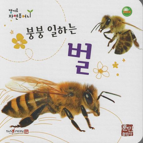 붕붕 일하는 벌