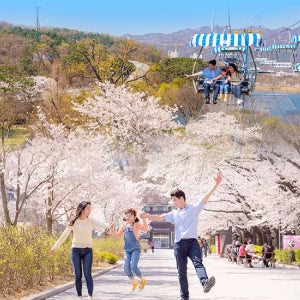 과천 서울대공원 리프트 2회 + 서울동물원 입장권 (국립과천과학관) (대인)