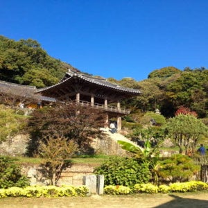 영주 1일 #KTX#부석사#소수서원#중식제공