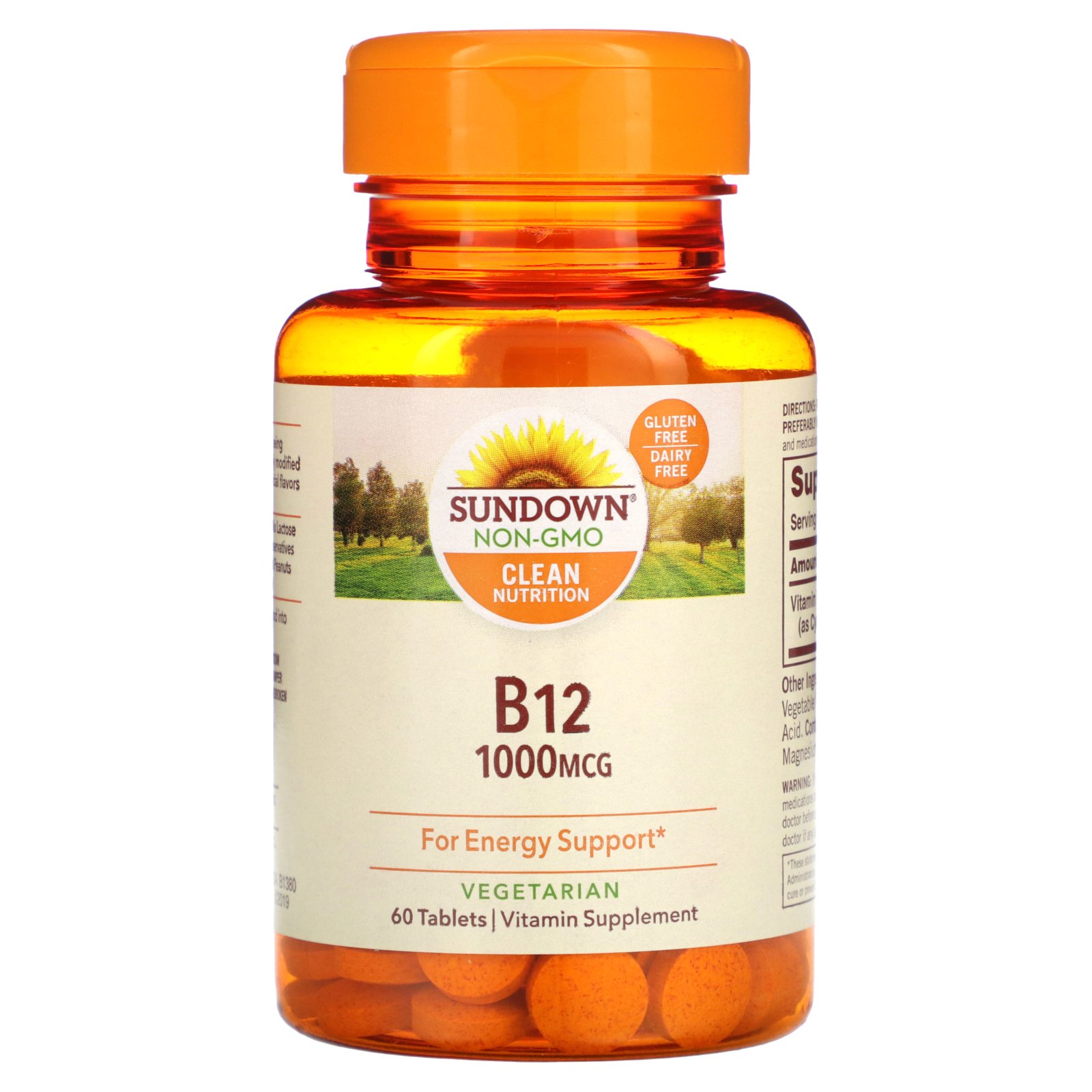 선다운 <b>내추럴</b> 고용량 B-12 1000 mcg 60 정  1개  100정