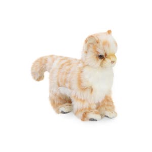 HANSA CREATION INC. [한사토이] 6498 아기고양이 동물인형/20cm.L