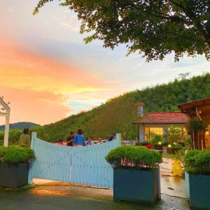 아리산 티 가든 / 자이 호텔