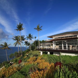 도나텔라 리조트 & 생츄어리 / 팡라오 호텔