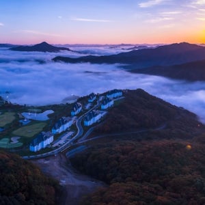 소노 펠리체 빌리지 비발디 파크