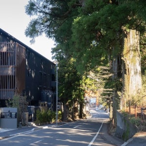 라쿠텐스테이 후지미테라스 하코네아시노코