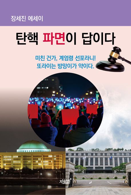 탄핵 파면이 답이다 (장세진 에세이)