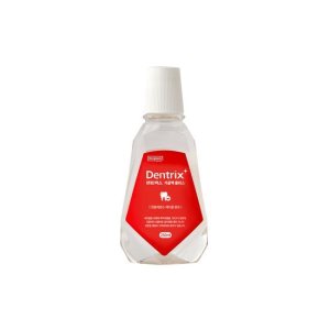 덴트릭스 가글액 플러스 250ml
