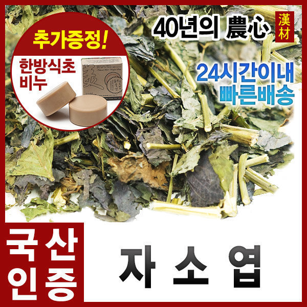 자애인 국산 말린 <b>자소엽</b> 300g 차조기차 <b>차즈기</b>차 <b>자소엽</b>차