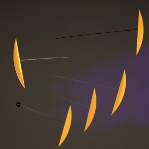 FLENSTED MOBILES [플렌스테드모빌]플렌스테드 모빌 미래 자연 탱고 시리즈 2종