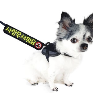 강아지산책 메시지 자수 네임택 스트랩 중간 리드줄 명찰, 따봉공방