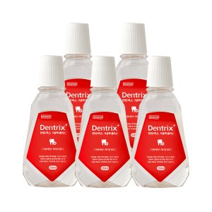 동국제약 덴트릭스 가글액 플러스 250ml 5개