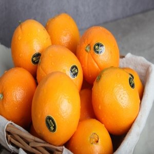[Mpark][실속구성](최대80과/10kg)25년 캘리포니아 블랙라벨 햇 오렌지(64~80과)