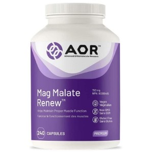 <b>AOR 마그네슘</b> 영양제 Mag Malate Renew 240정
