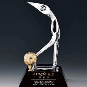 트로피 SW06 판촉물 제작 전문~상패/휘장~트로피(금속)