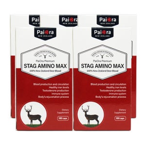 파이오라 녹혈 스태그 아미노 맥스 180캡슐 5개 숫사슴 PaiOra Stag Amino