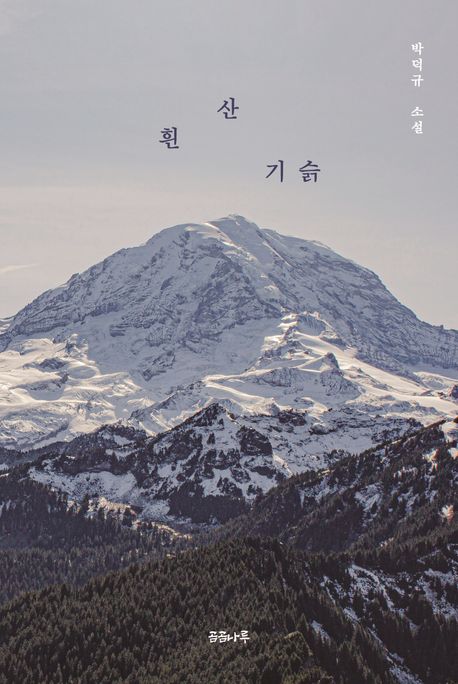 흰 산 기슭 (박덕규 소설)