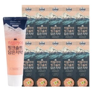 페리오 히말라야 핑크솔트 담은 플로럴민트 치약 100g 10개 / 잇몸질환 충치 구취 구강케어