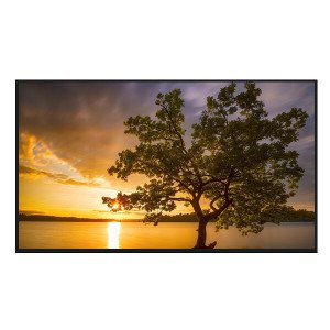 LG전자 LG전자 75QNED65TBA QNED 각도조절 벽걸이 75인치 1등급 4K LED TV 운송료상이 대성가전