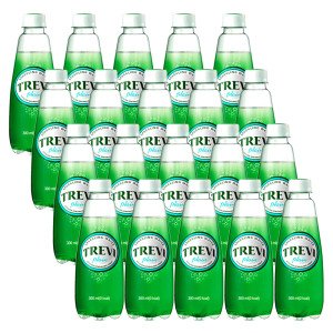 롯데칠성 트레비 플레인 300ml 20개K