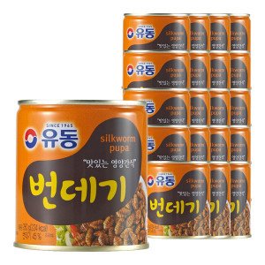 유동 유동 번데기 280g 20개