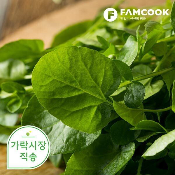 팸쿡 가락시장직송 크레숑(<b>물냉이</b>) 300g