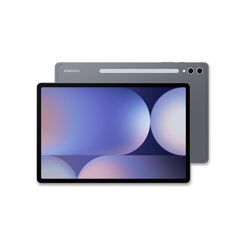 삼성전자 갤럭시탭 S10 플러스 5G 5G+WiFi, 256GB, 문스톤 그레이