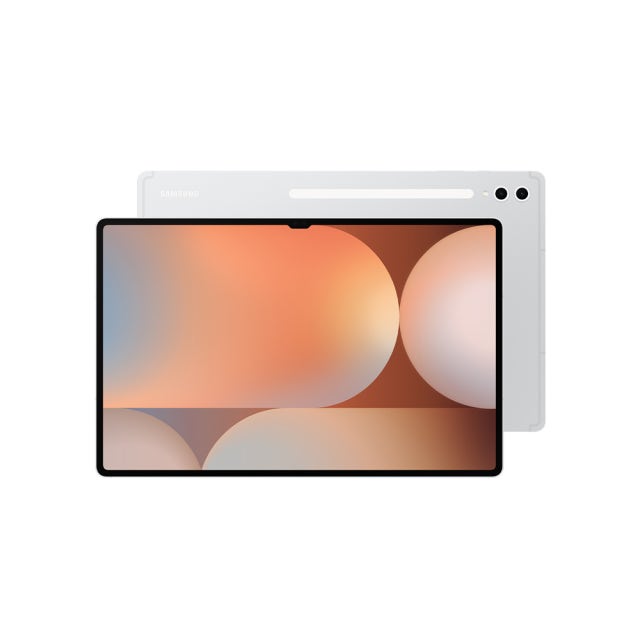 갤럭시탭 S10 울트라 256GB