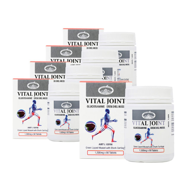 네이쳐스탑 바이탈 조인트 90캡슐  X5개