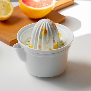 아즈마야 스퀴저 L 레몬짜기