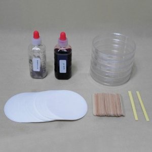 pH시험지 만들기키트 (10인용) MST-9691 ph시험지실험키트