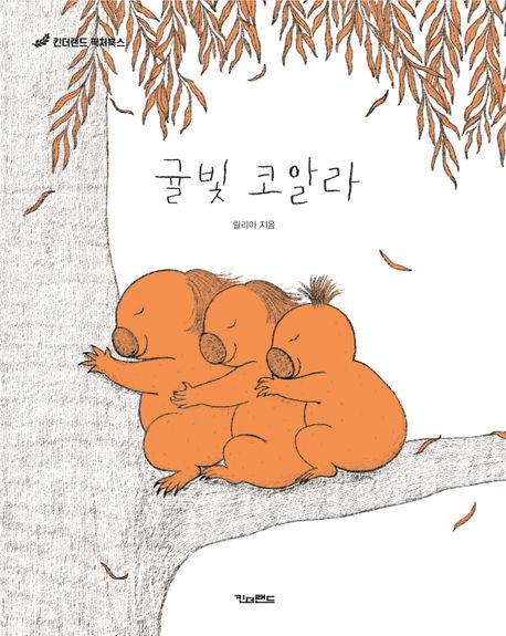 귤빛코알라