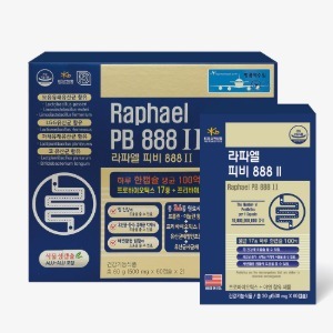 라파엘 피비 888 II