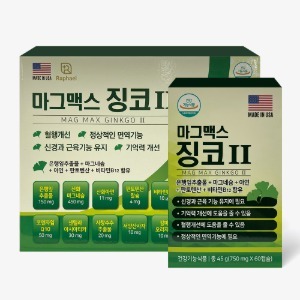 마그맥스 징코II