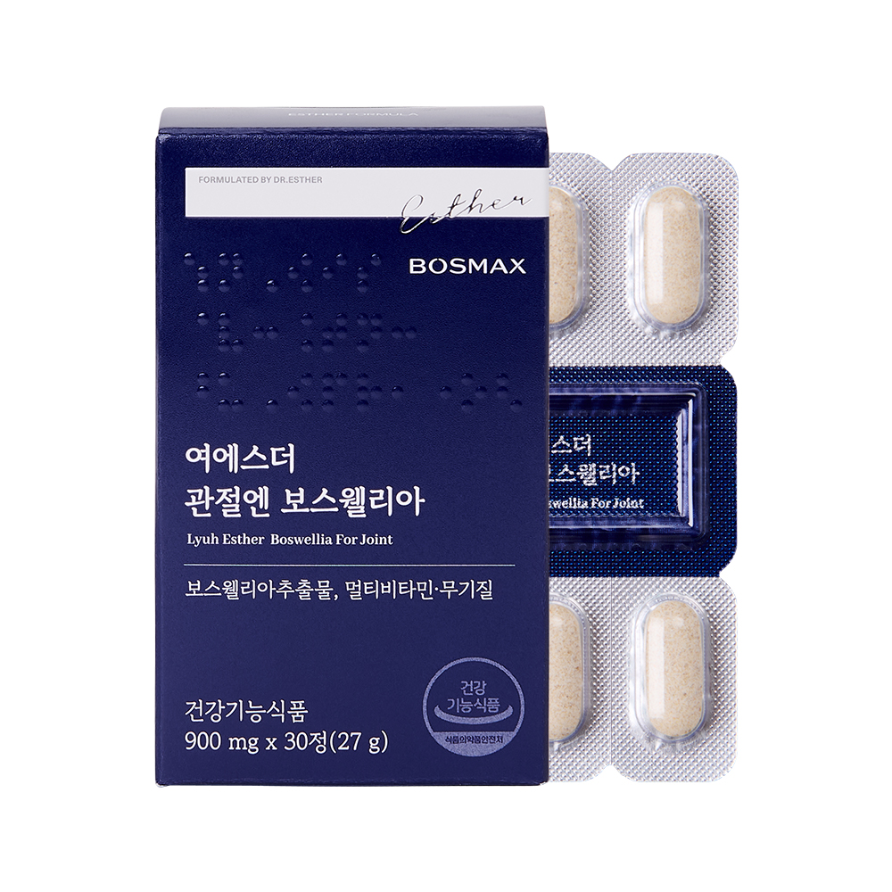 관절엔(N)