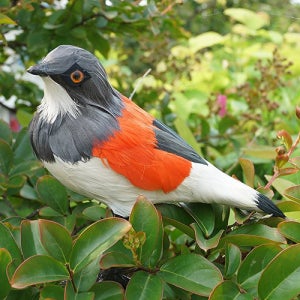 떼까치 모형 18cm 가짜새 인조 모조 새 조류 실제 깃털사용 제작 조경연출 수업 교구