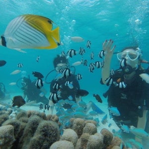 1월 괌사이판 자유여행 PIC 리조트 4박5일 패키지