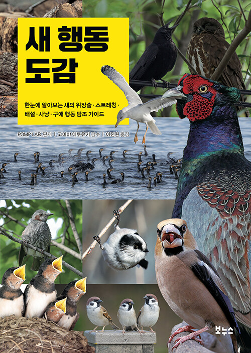 새 행동 도감 : 한눈에 알아보는 새의 위장술·스트레칭·배설·사냥·구애 행동 탐조 가이드