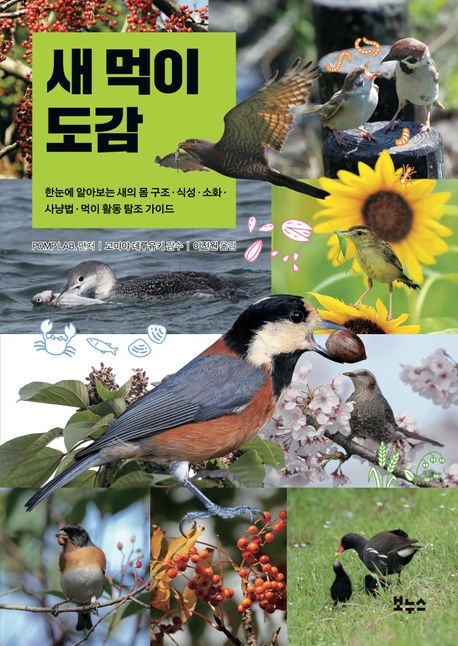 새 먹이 도감  : 한눈에 알아보는 새의 몸 구조·식성·소화·사냥법·먹이 활동 탐조 가이드