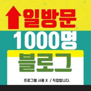 [방문자수]블로그 일방문객 늘리기 1000회(월간 30,000)