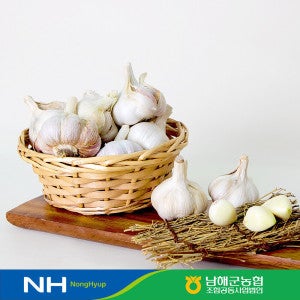 (50%) 남해농협 보물섬 남해 통마늘 3kg (상) 25년산 / 농협선별