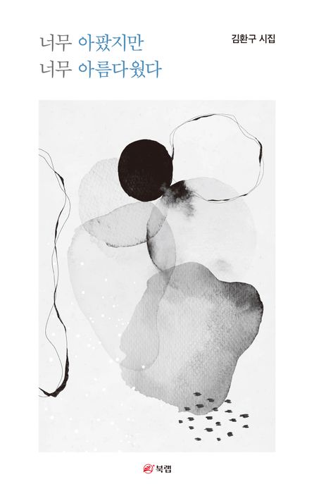 너무 아팠지만 너무 아름다웠다  : 김환구 시집