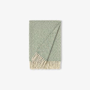 도미노 - 유칼립투스