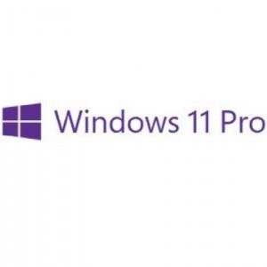 Microsoft Windows 11 Pro (라이선스 GGWA)