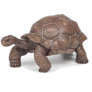 모형동물 동물피규어 거북이피규어 갈라파고스 거북 바다거북이