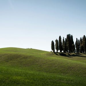 이탈리아 로마 여행 토스카나 와이너리 그룹 투어