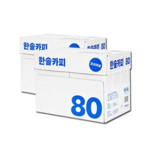 한솔 [한솔제지] 한솔카피 A4용지 80g 2500매 2박스 두꺼운 에이포 고급 복사용지 [Y]