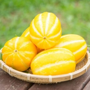 [자연예서] 성주 참외 5kg (16-20과)
