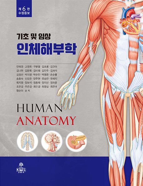 인체해부학
