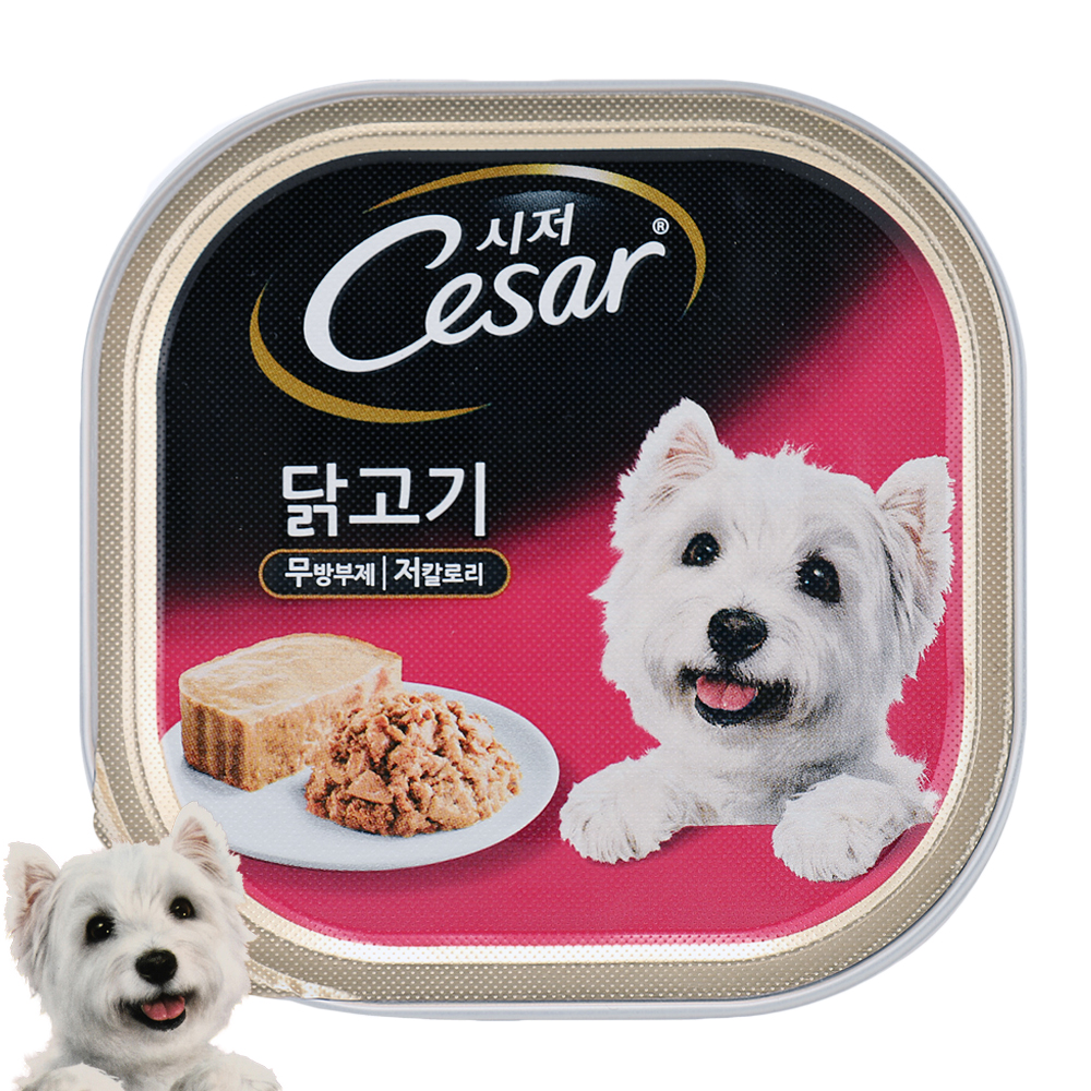 강아지 건강식 추천