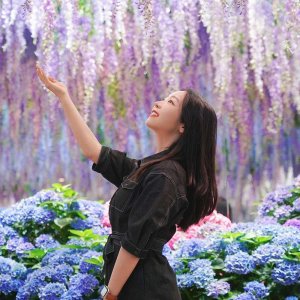gapyeong begonia bird park 가평베고니아새정원 상시 입장권 (~10.31)